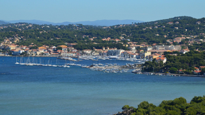 Enlèvement arbre urgence Aubagne